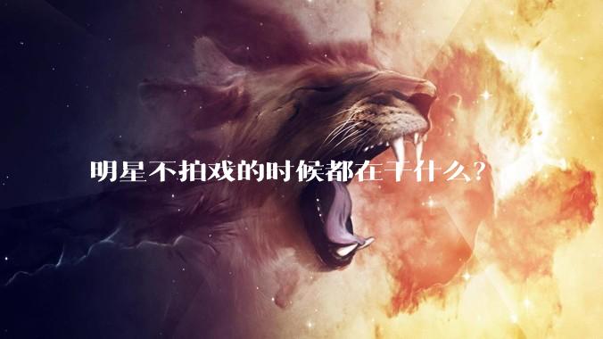 明星不拍戏的时候都在干什么？