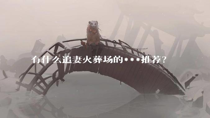 有什么追妻火葬场的***推荐？