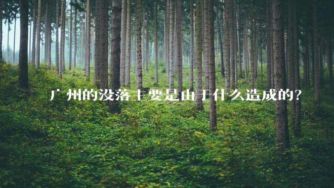 广州的没落主要是由于什么造成的？