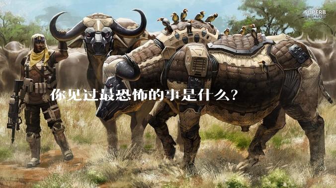 你见过最恐怖的事是什么？