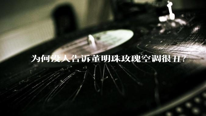 为何没人告诉董明珠玫瑰空调很丑？