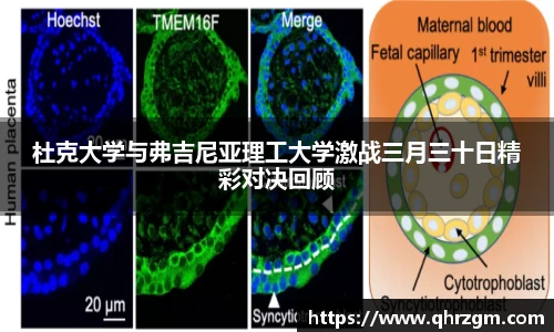 九游体育